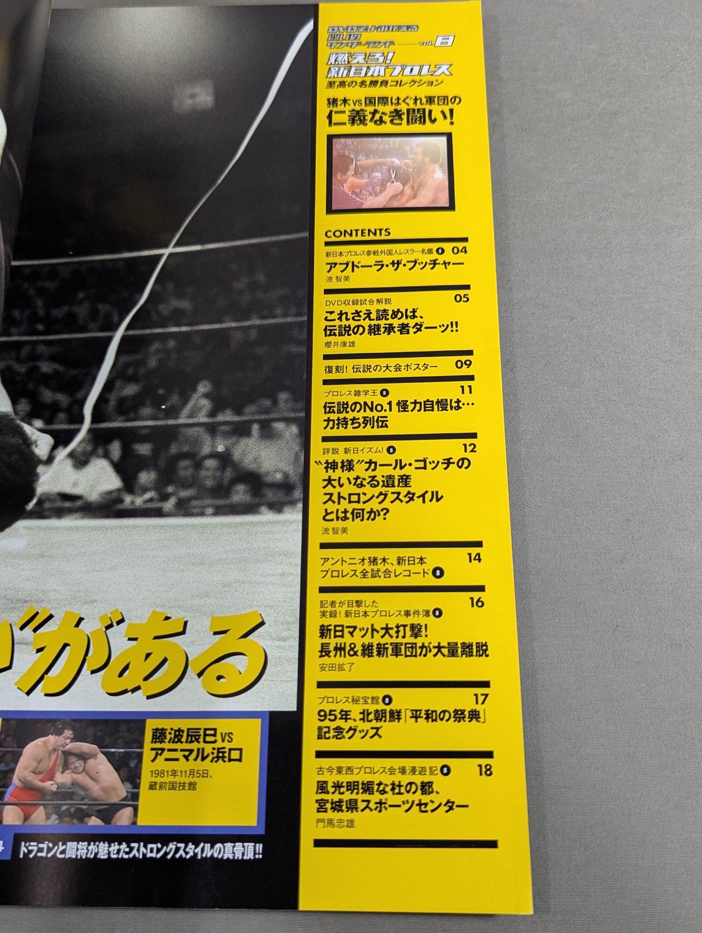 燃えろ!新日本プロレス vol.8 – 闘道館