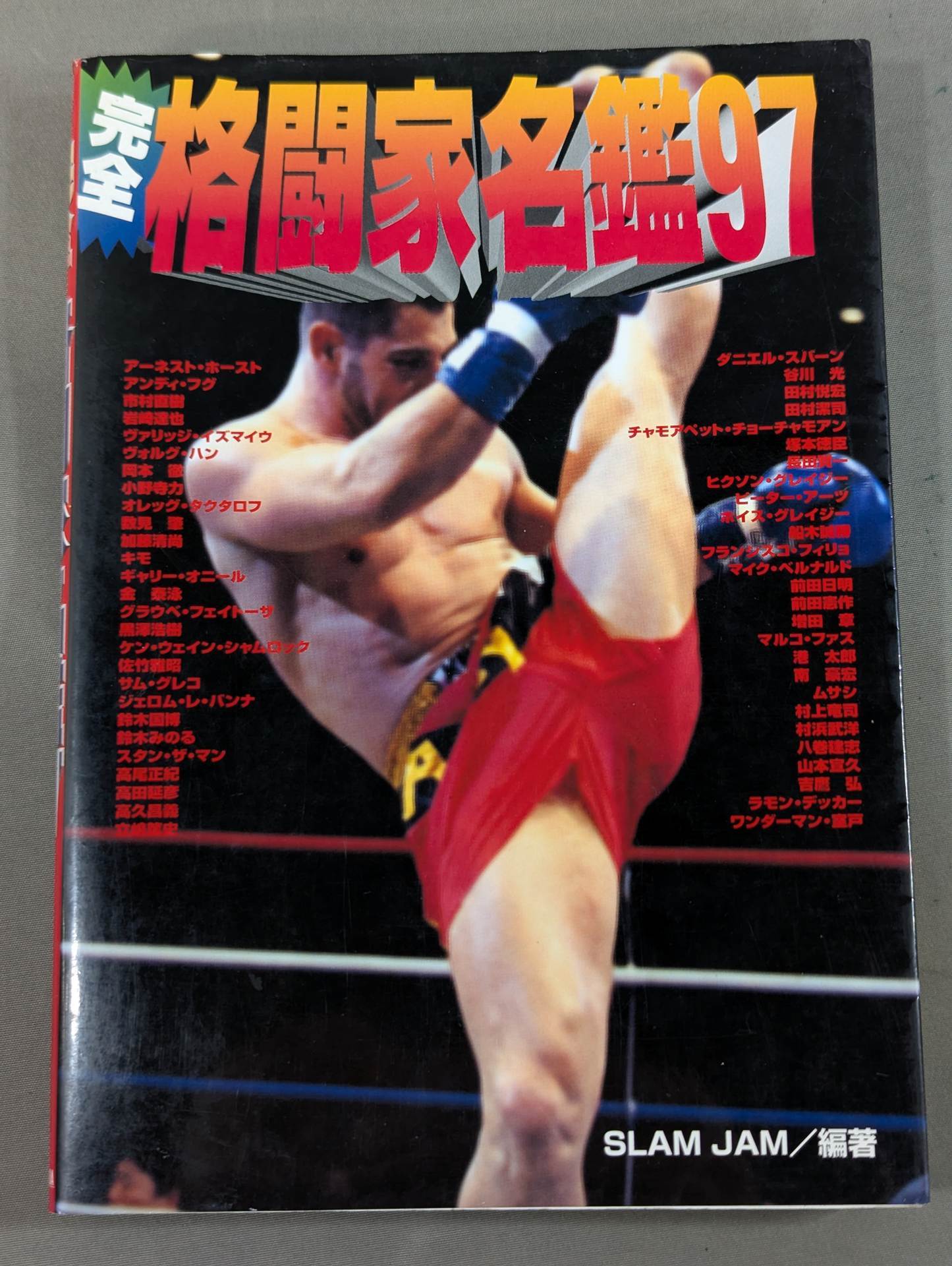 Perfect Fighter Directory '97