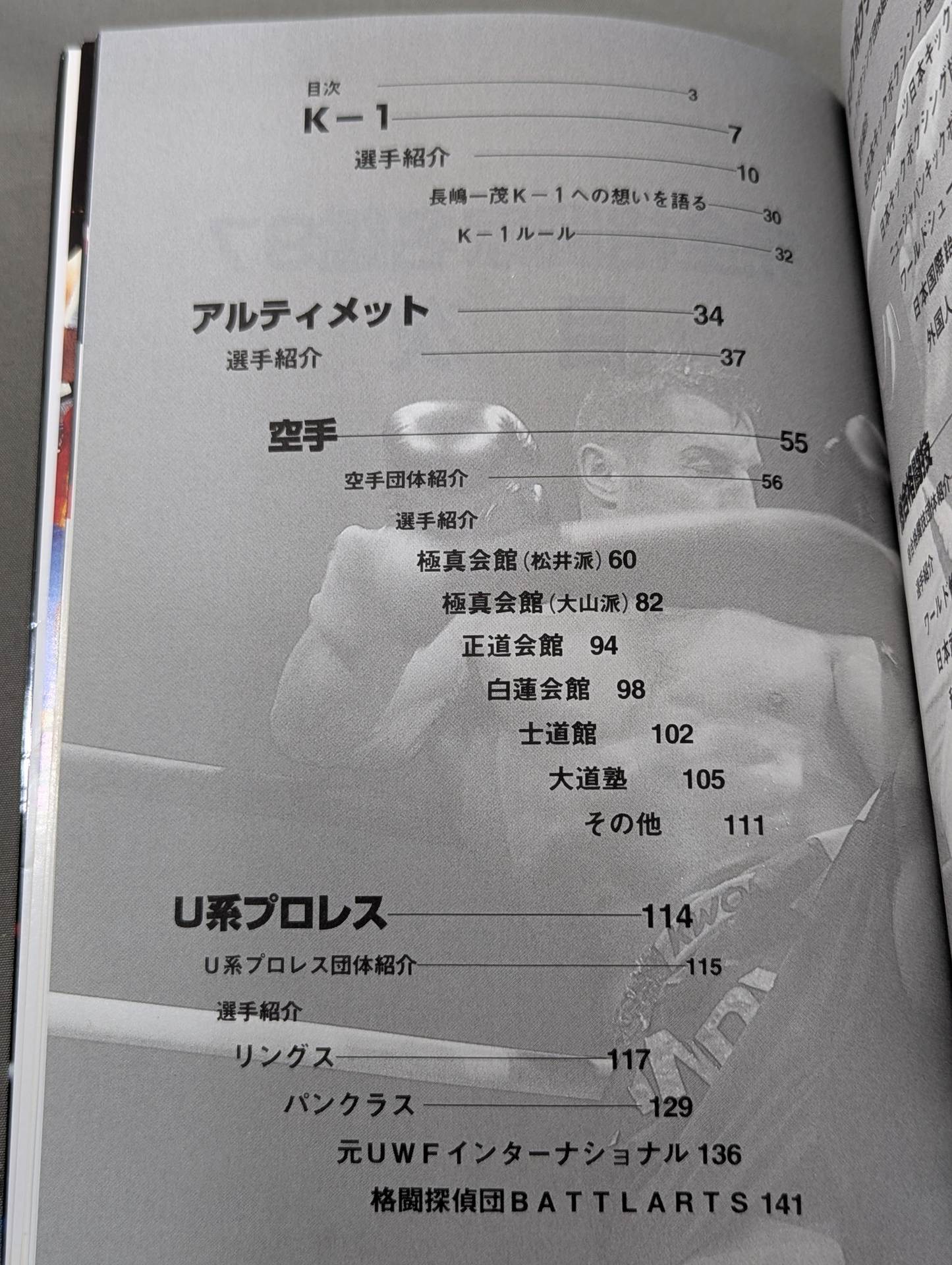 Perfect Fighter Directory '97