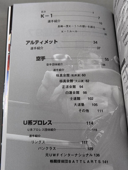 Perfect Fighter Directory '97