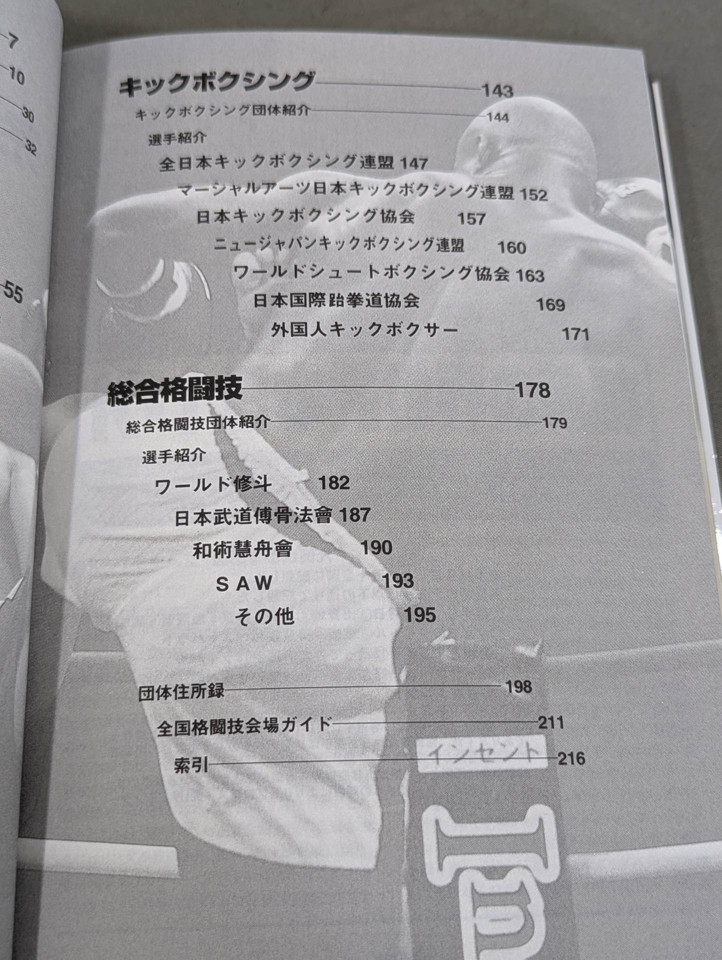 Perfect Fighter Directory '97