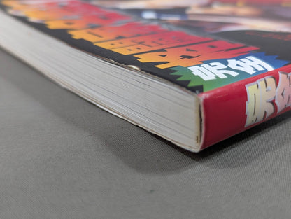 Perfect Fighter Directory '97