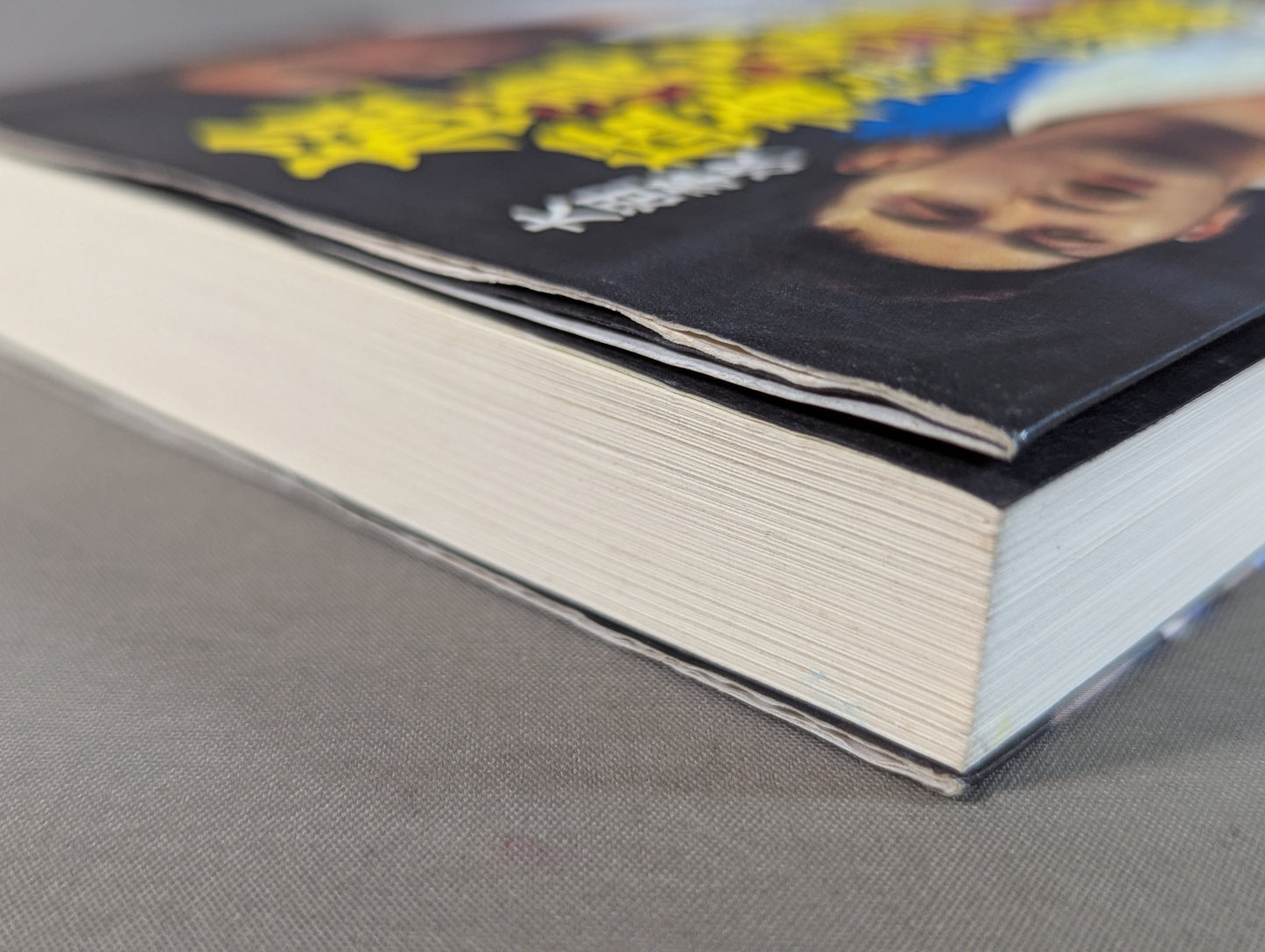 極真空手 猛者たちの挑戦