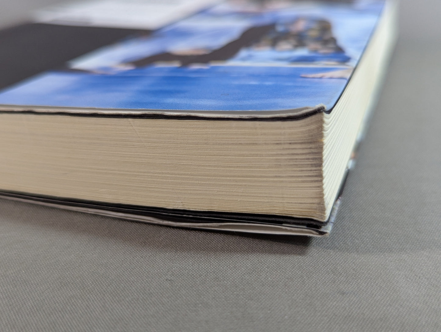 極真空手 猛者たちの挑戦