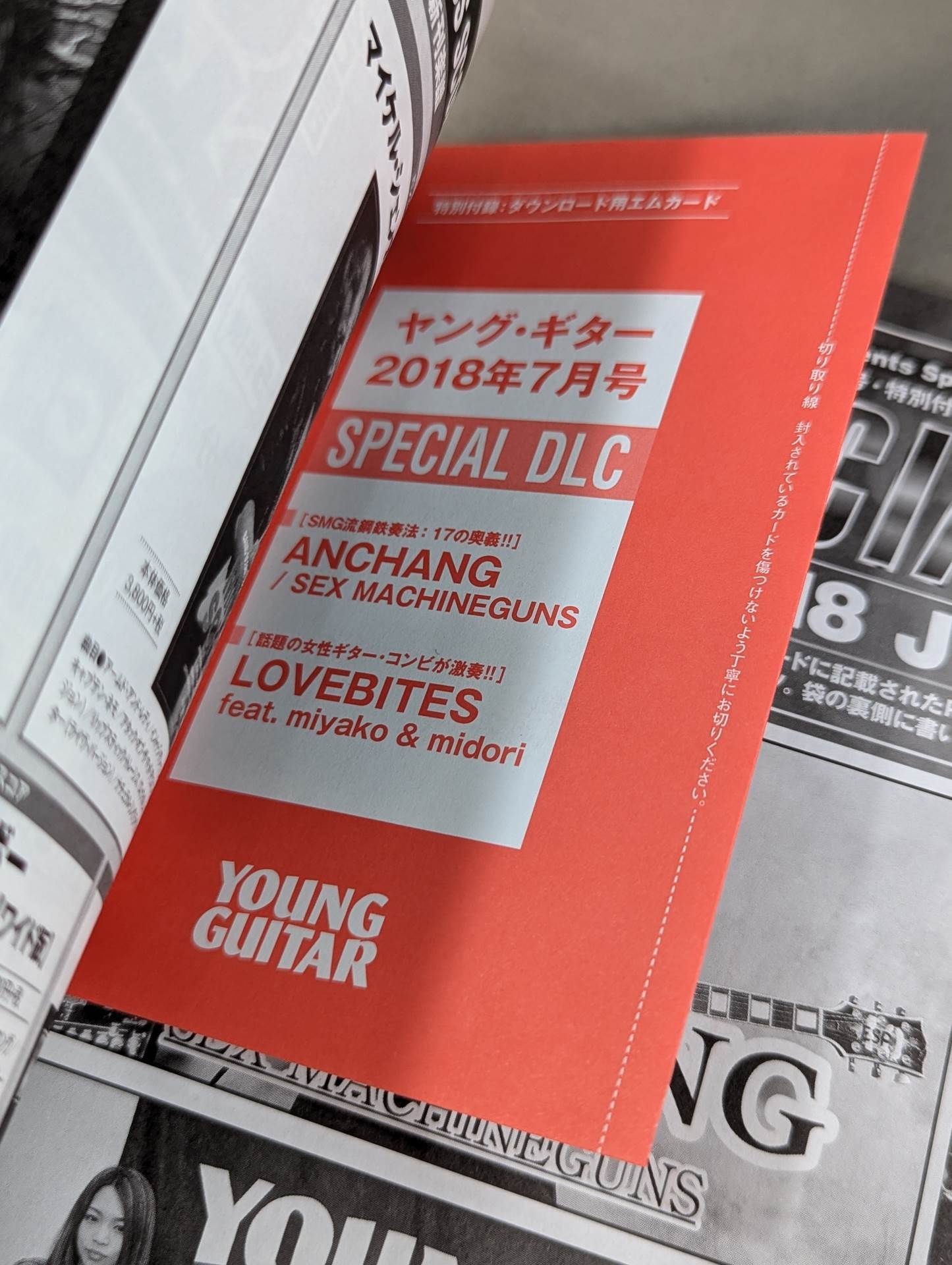 YOUNG GUITAR  プロレス・スーパーギター列伝