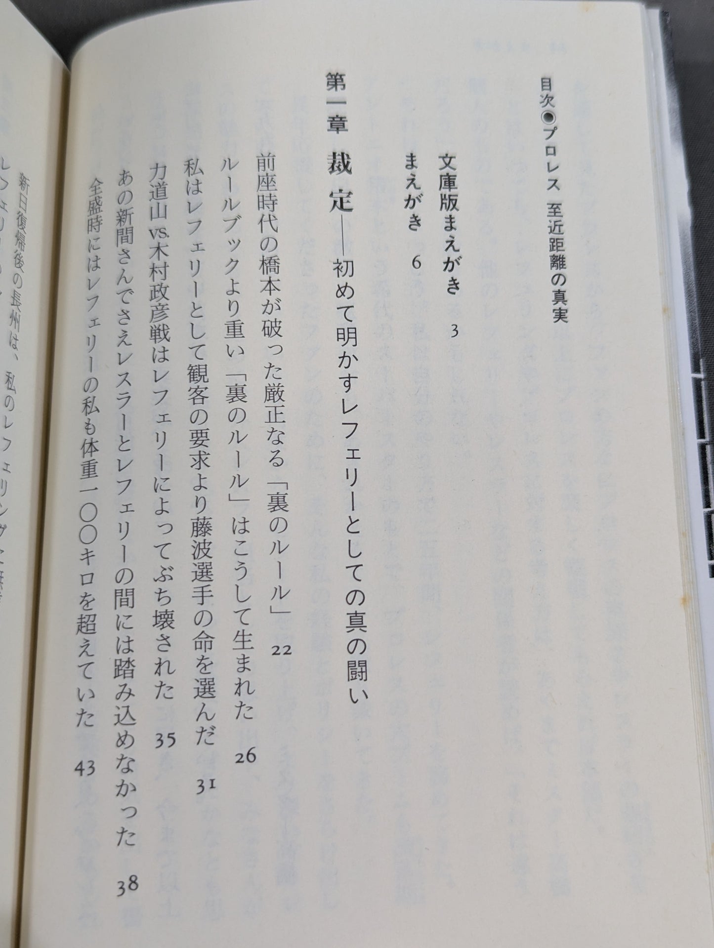 プロレス  至近距離の真実  レフェリーだけが知っている表と裏