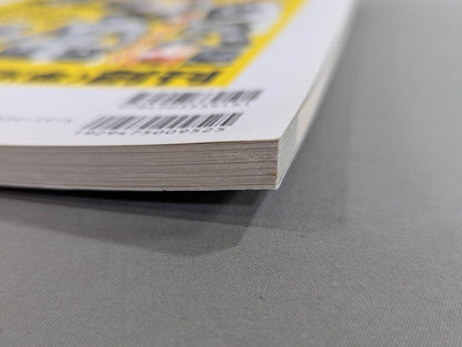 Back Gong Real Print Pro Wrestling  Flag Raising