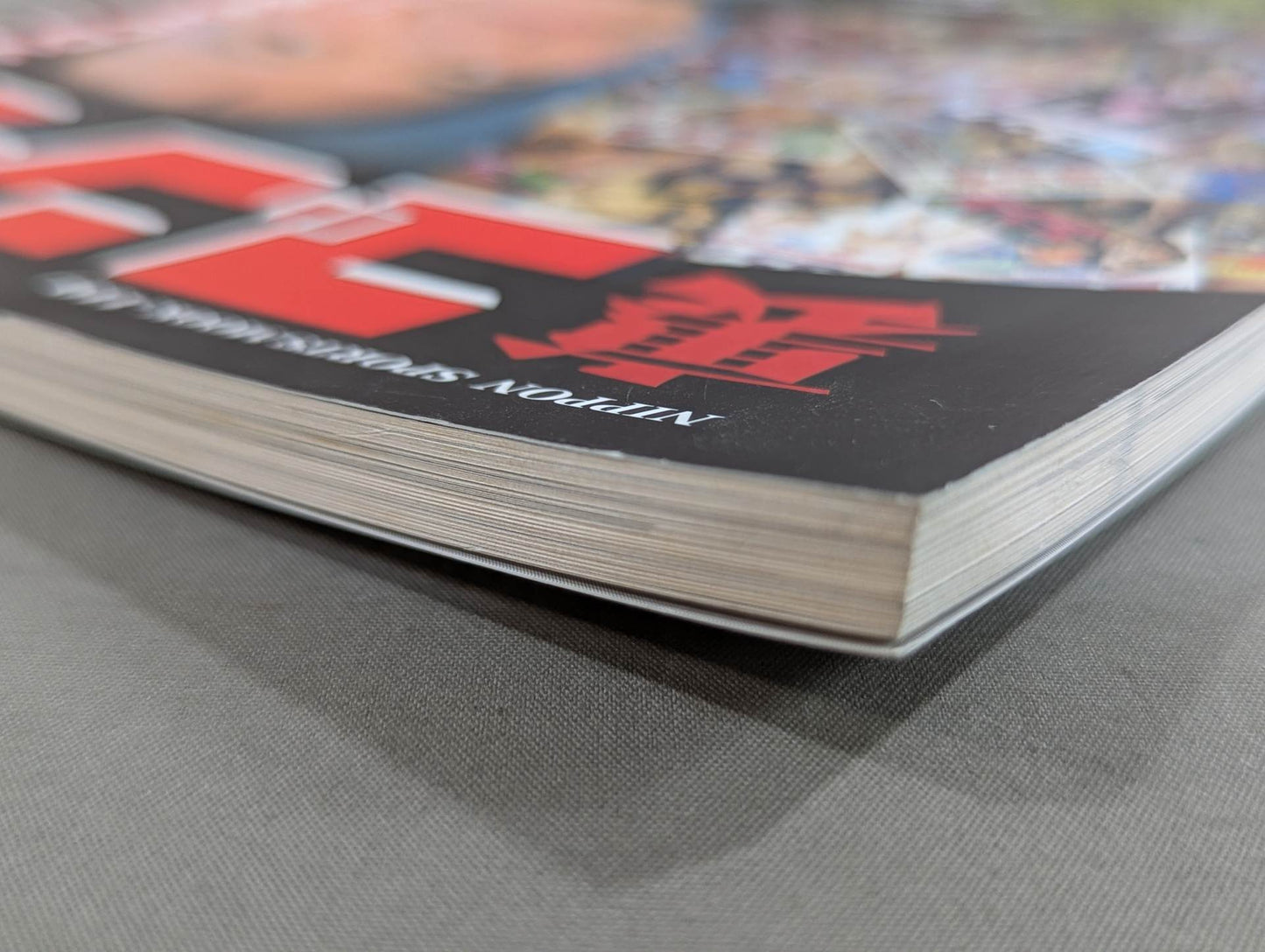 Back Gong Real Print Pro Wrestling  Flag Raising