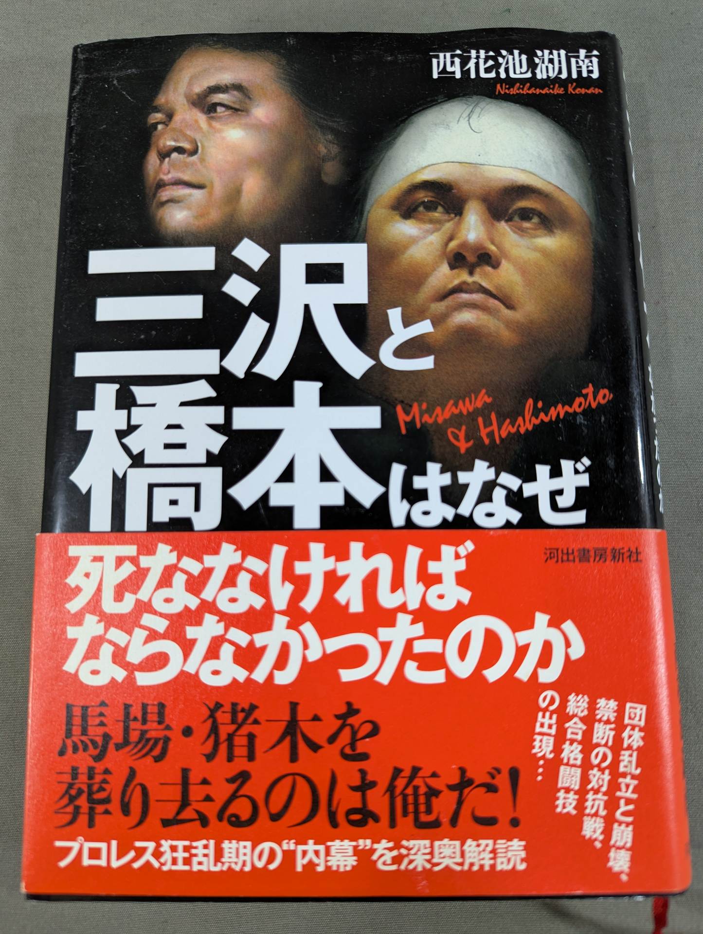 Why did Misawa and Hashimoto have to die?