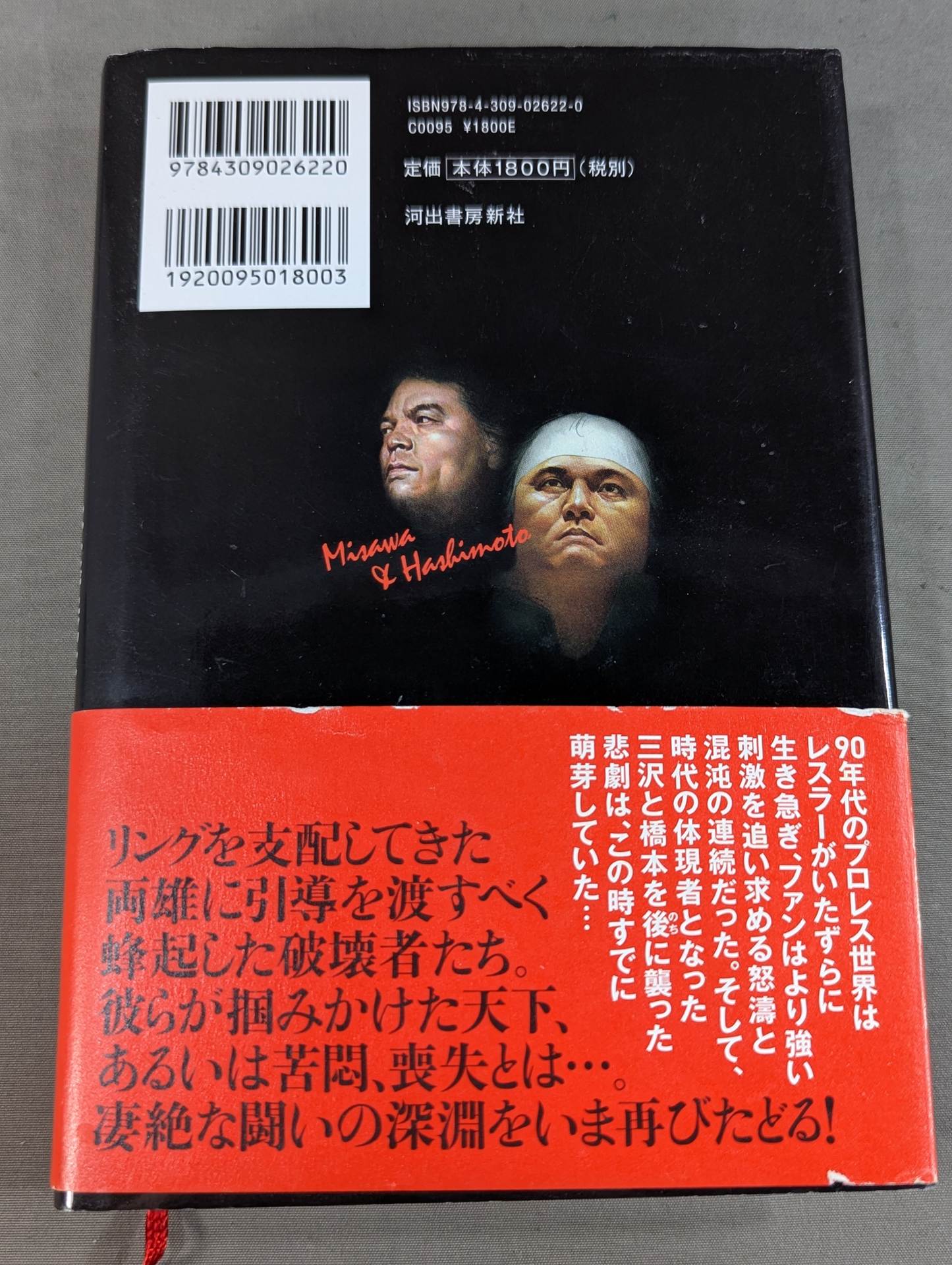 Why did Misawa and Hashimoto have to die?