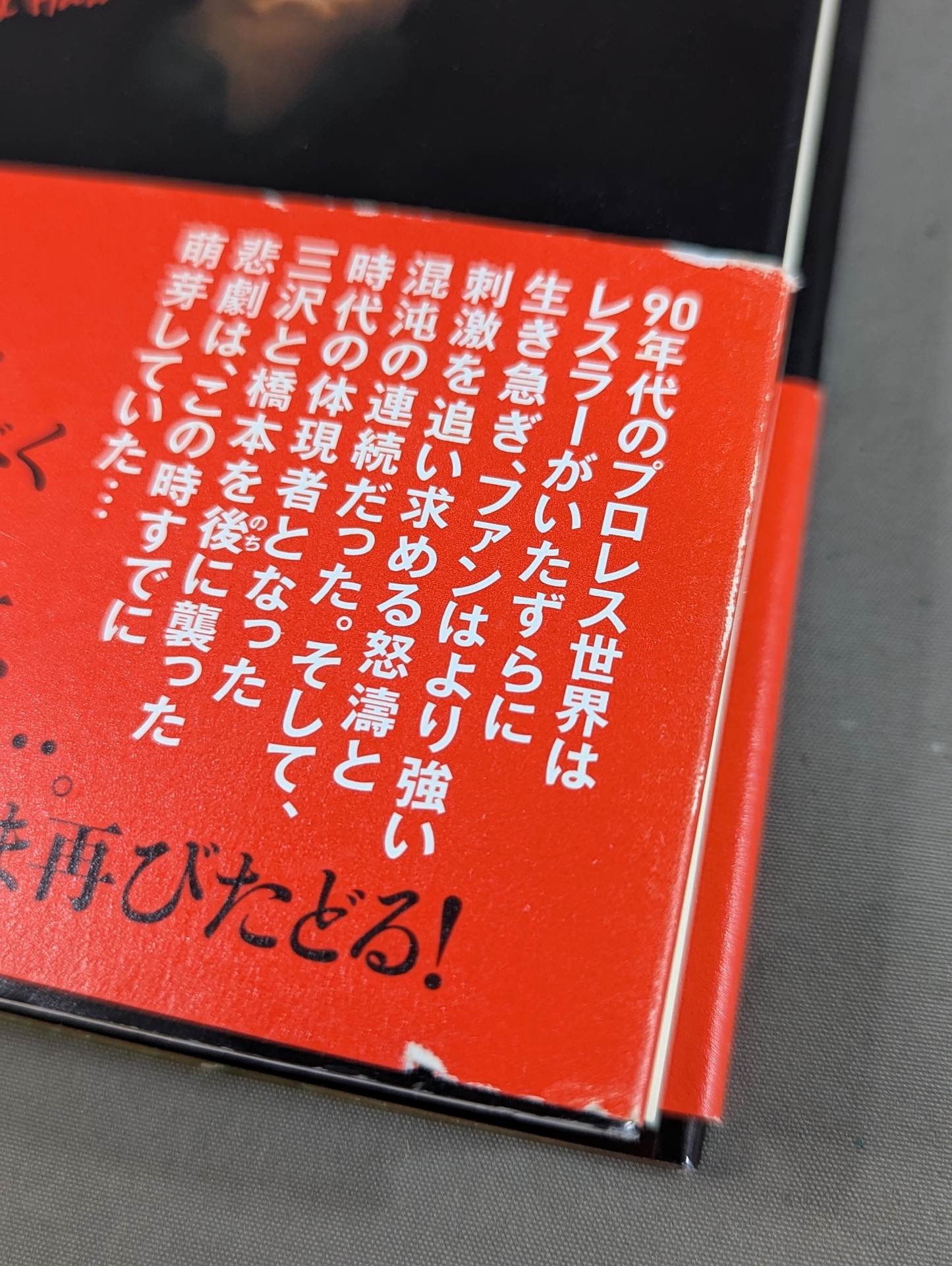 Why did Misawa and Hashimoto have to die?