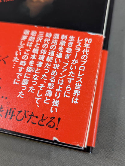Why did Misawa and Hashimoto have to die?