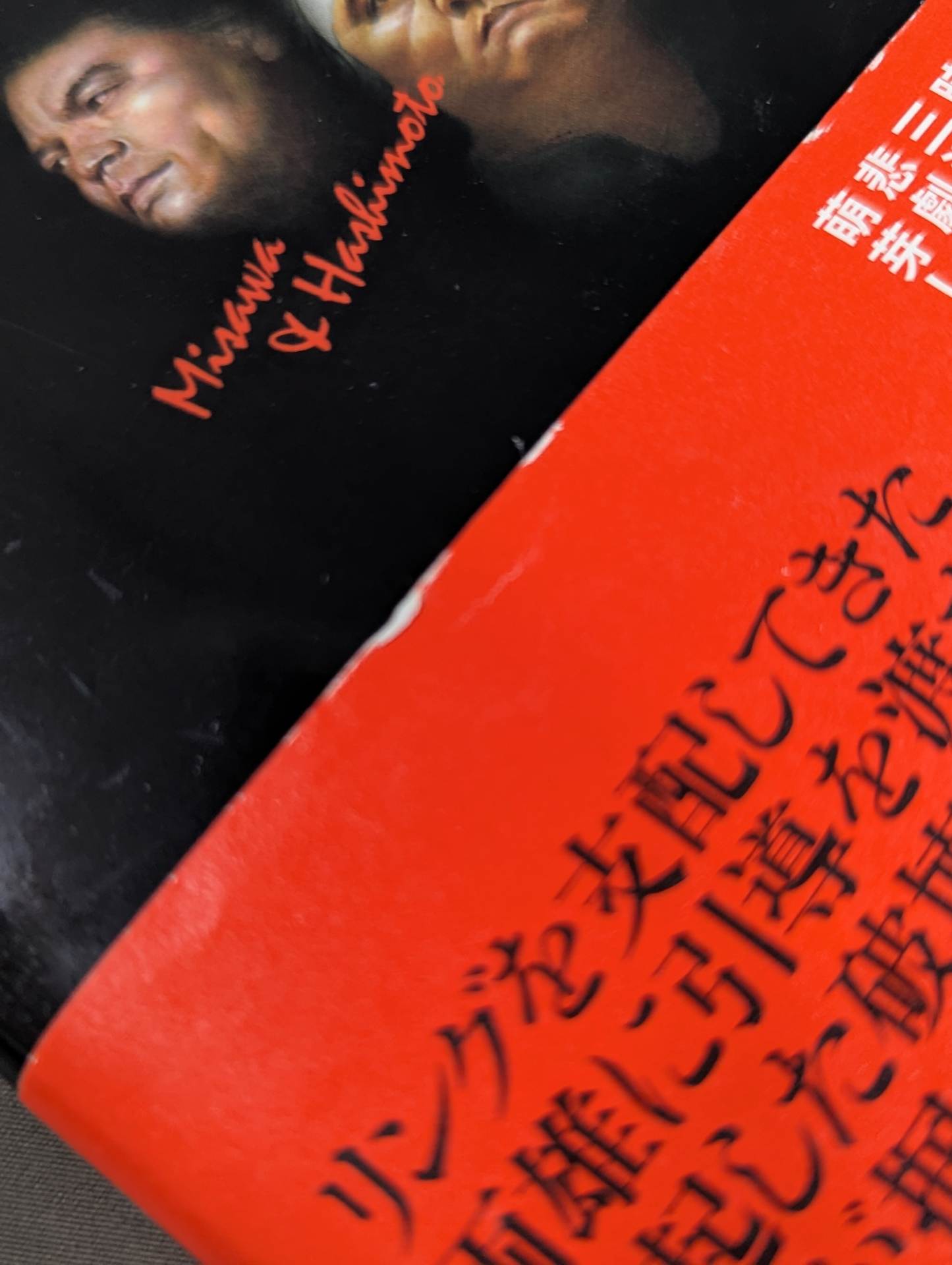 Why did Misawa and Hashimoto have to die?