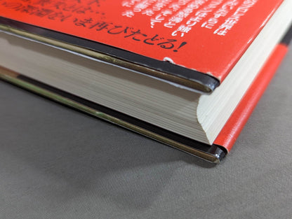 Why did Misawa and Hashimoto have to die?