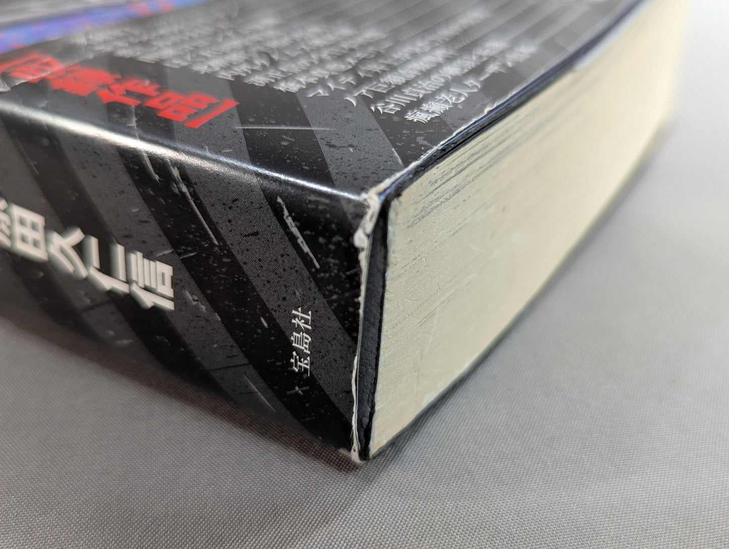 Pro Wrestling  Hell Hentai