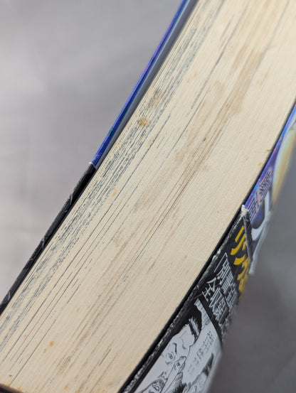 Pro Wrestling  Hell Hentai