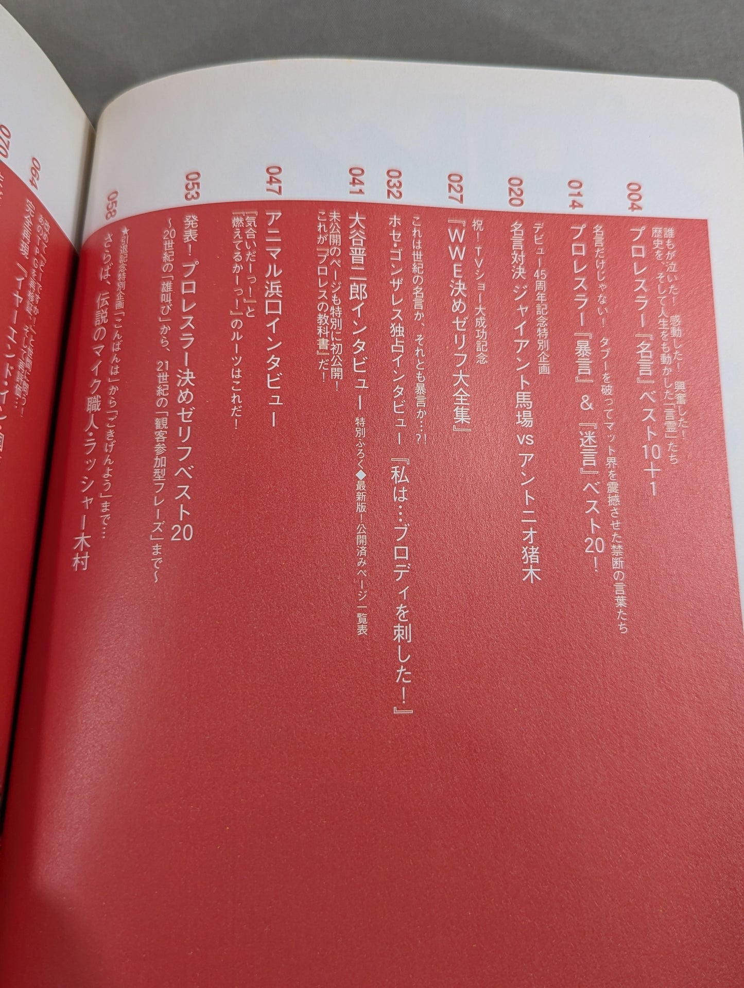 Bessatsu Takarajima 1126 Pro Wrestling  Quotes and Rant Daizenshu