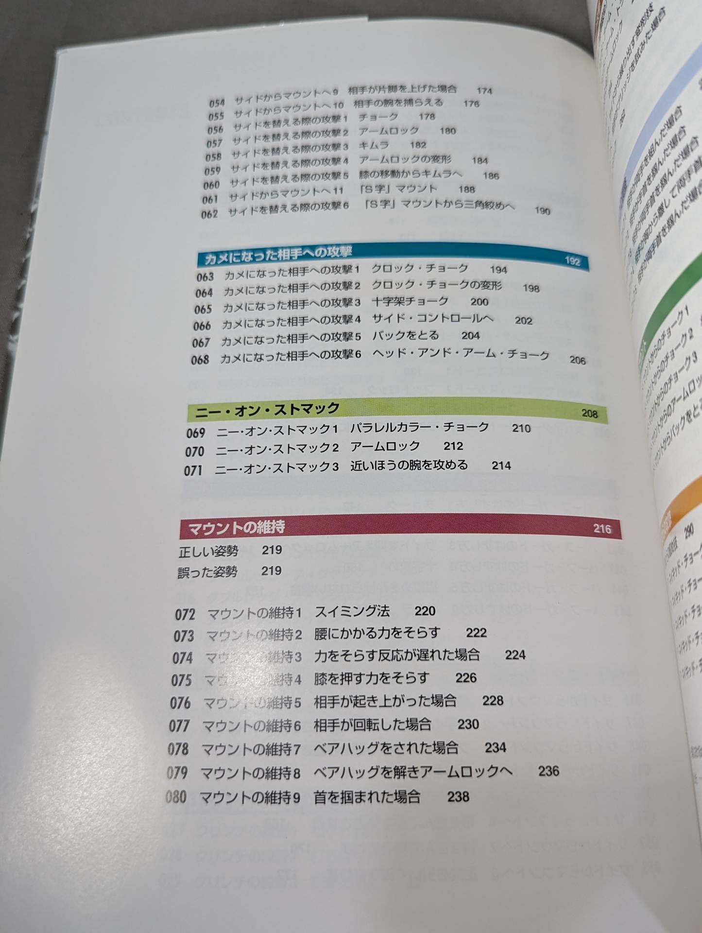 ブラジリアン柔術 バーリ・トゥードテクニック トップ・ポジション編