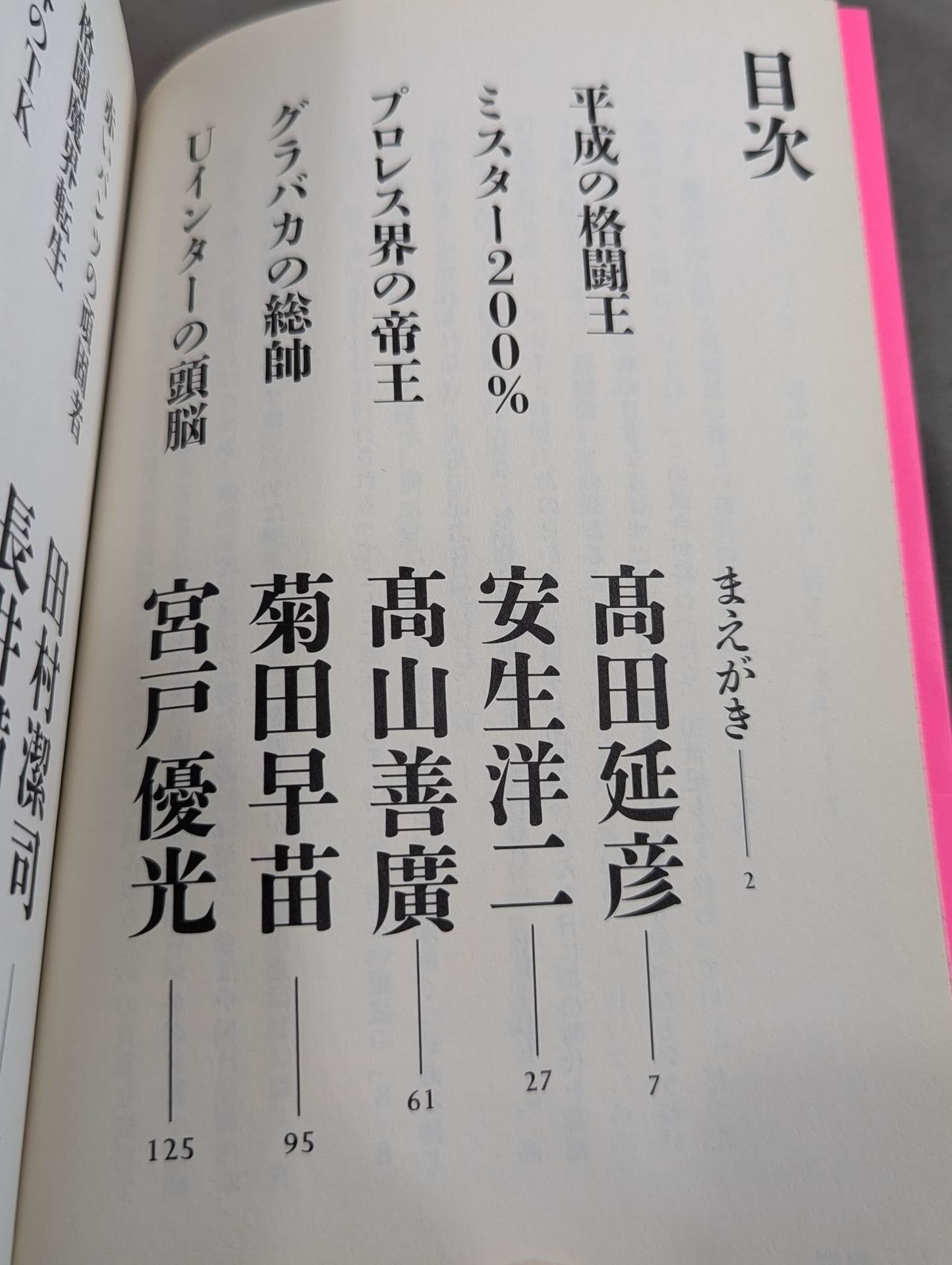 Gale Furious!! Pro Wrestling  Interrogation Room UWF & PRIDE Fighting Romance