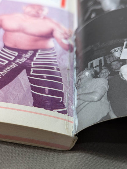 2001ゴング プロレス名鑑