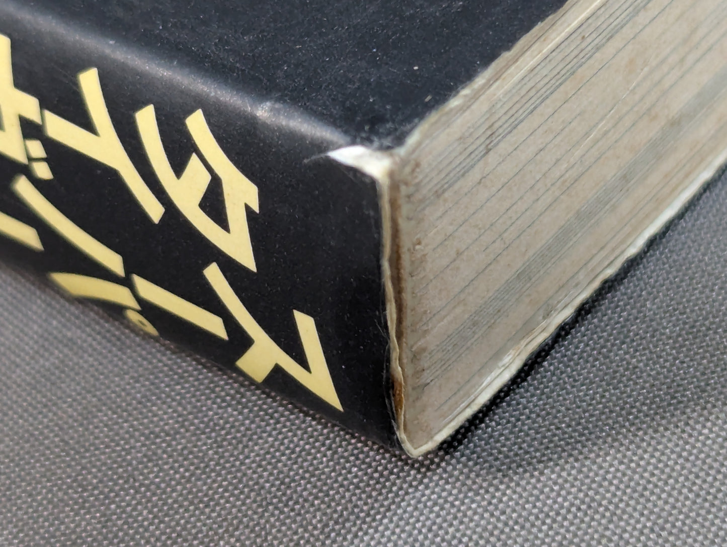 Super Tiger Shooting: The Road to the Strongest in Martial Arts