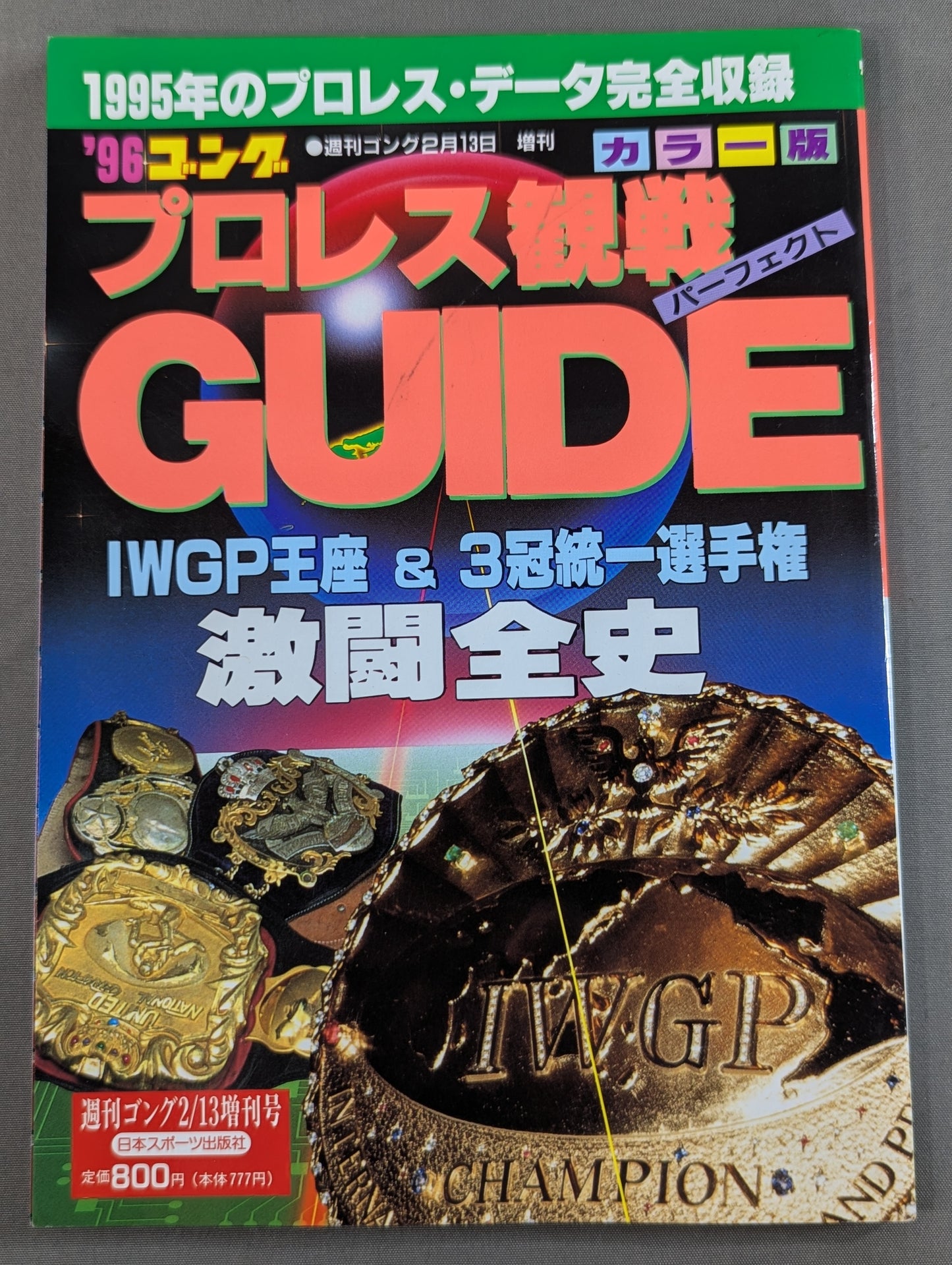 96 Gong Pro Wrestling  Perfect Guide