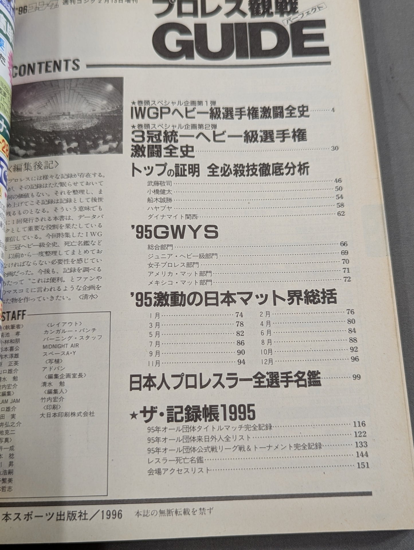 96 Gong Pro Wrestling  Perfect Guide