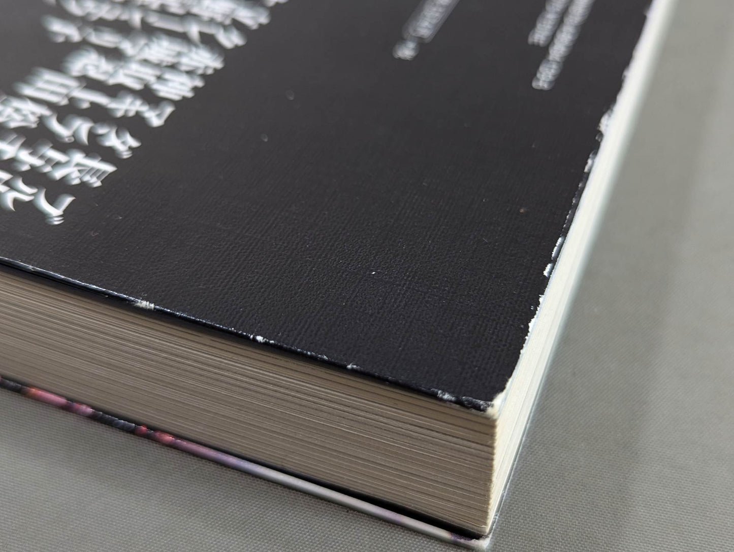 Go Yoshida's "Craziest Legend" All Japan Women\'s  Legend Women Pro Wrestler  Interviews