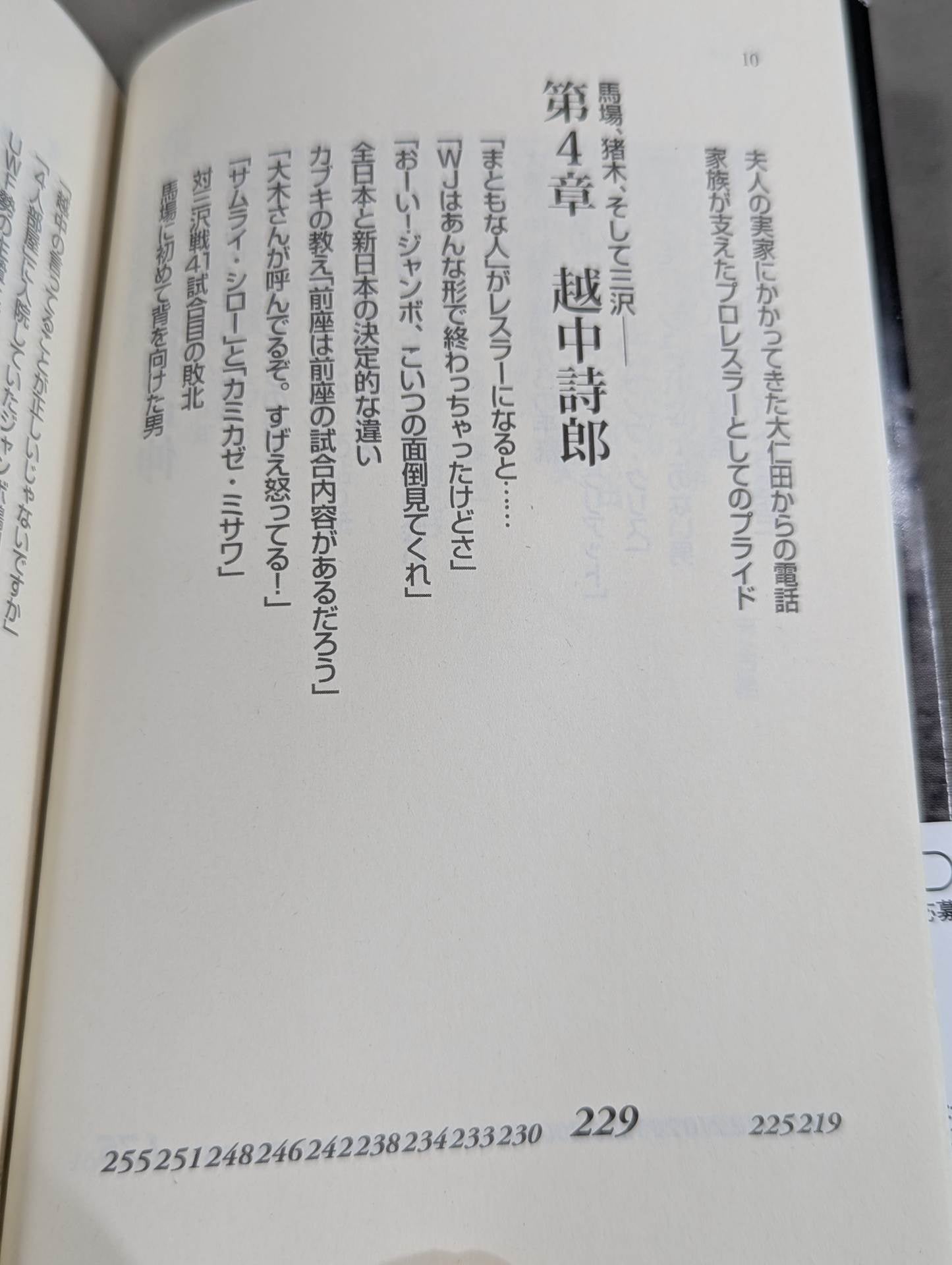 Former New Japan Pro Wrestling  "Ring of Life"