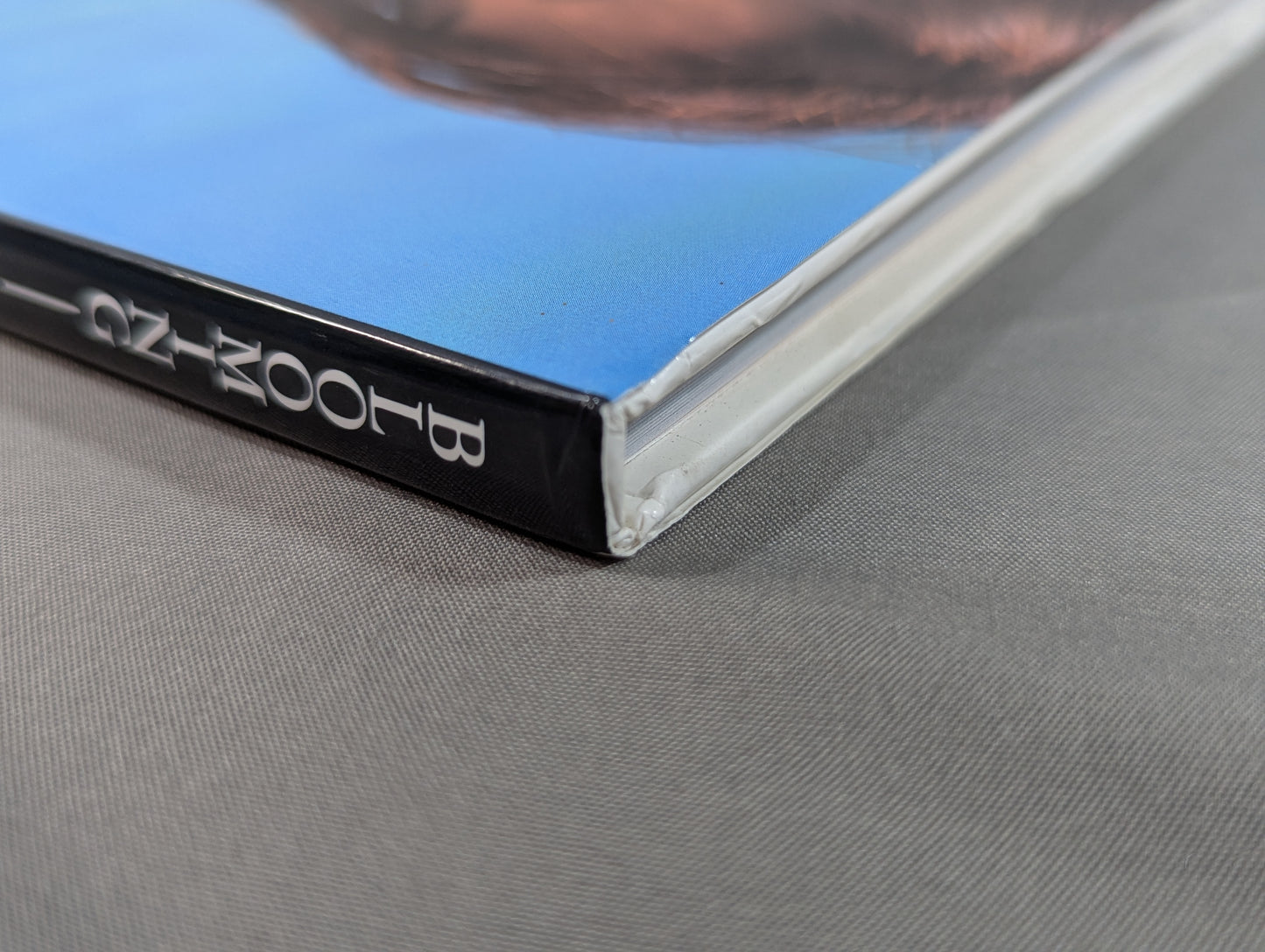 大向美智子 写真集 1st BLOOMING－女心が開花する