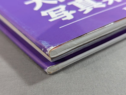 大向美智子 写真集 1st BLOOMING－女心が開花する