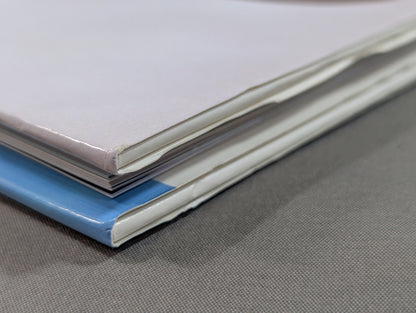 大向美智子 写真集 1st BLOOMING－女心が開花する