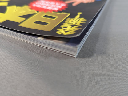 発掘!日本プロレス60年史 団体編 ：団体興亡史