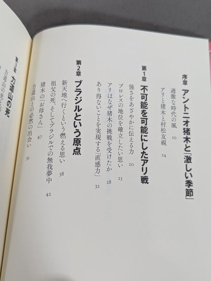 The vitality of Inoki-style "radical Pro Wrestling"