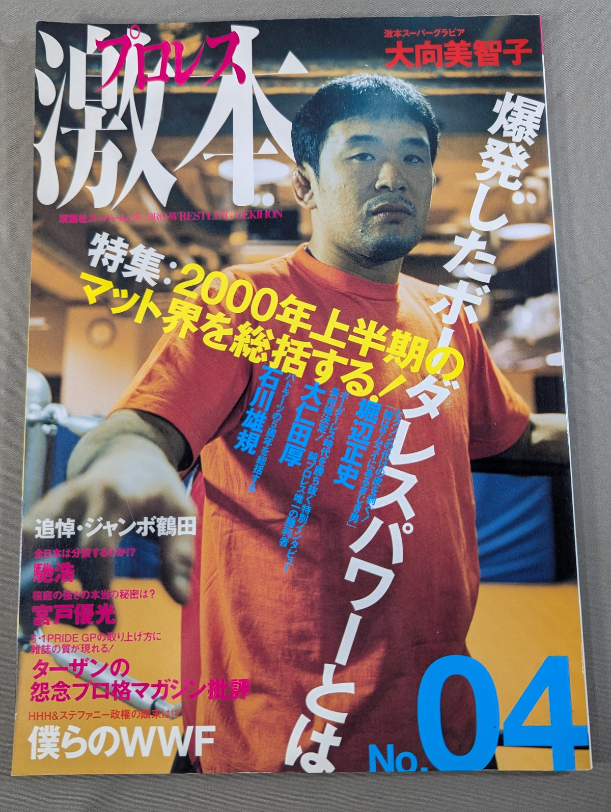 プロレス激本 No.4 (Vol.4)