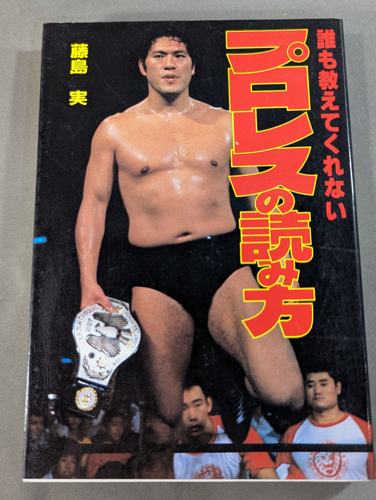 誰も教えてくれない プロレスの読み方