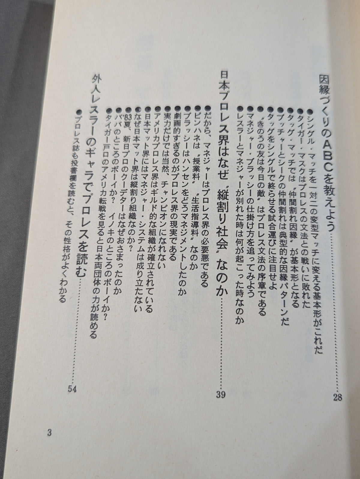 誰も教えてくれない プロレスの読み方
