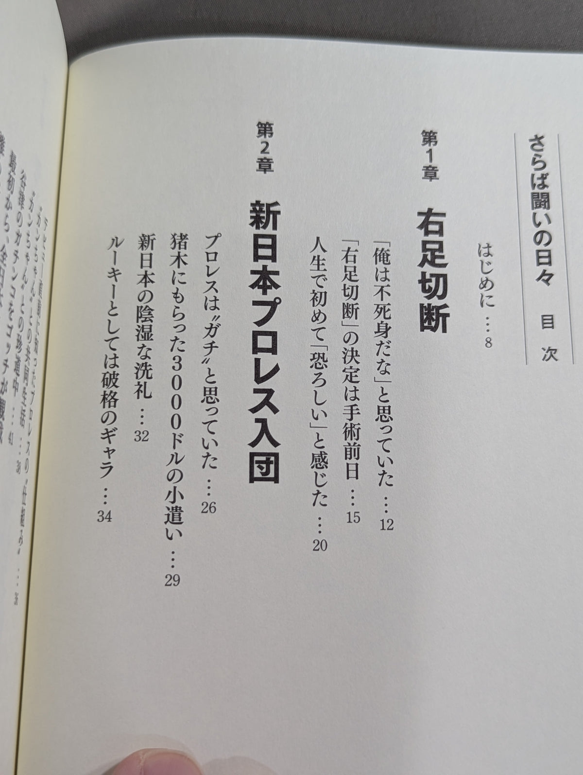 さらば闘いの日々
