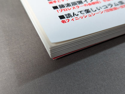 プロレスラー必殺技名鑑 名選手が生み出した珠玉のテクニック大全!