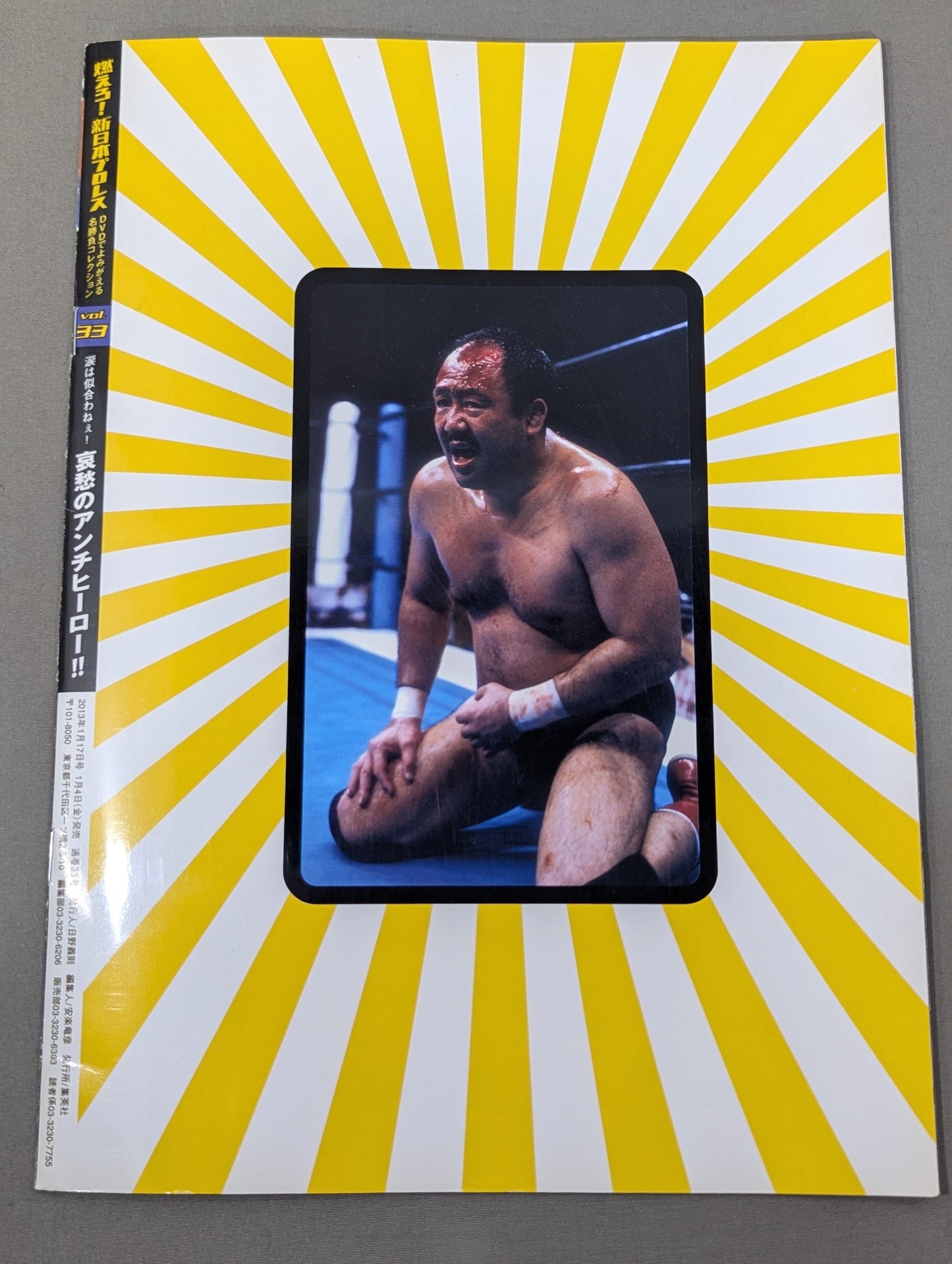 Burn! New Japan Pro Wrestling  vol.33
