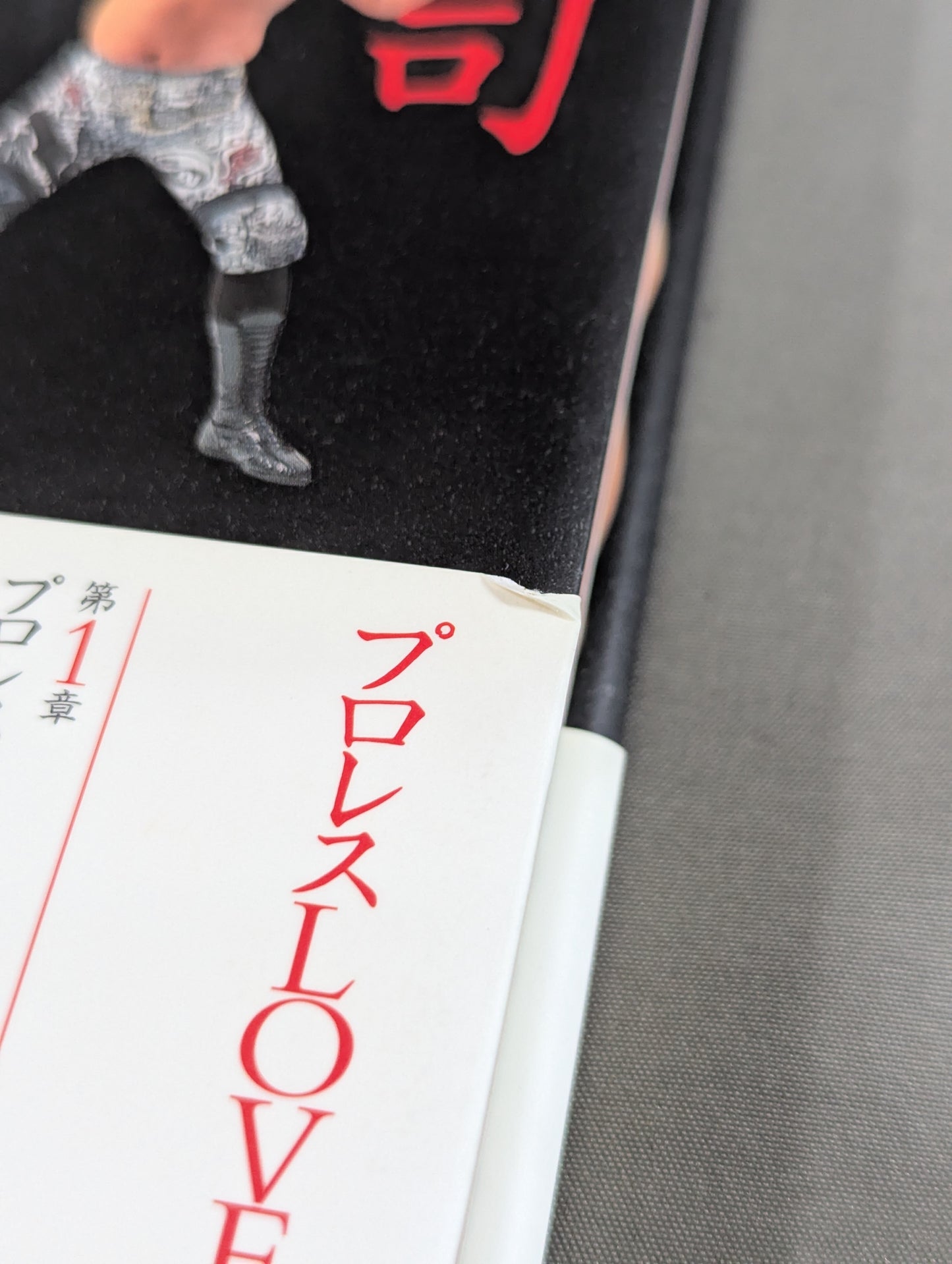 武藤敬司 自叙伝 骨の髄までしゃぶり尽くせ!