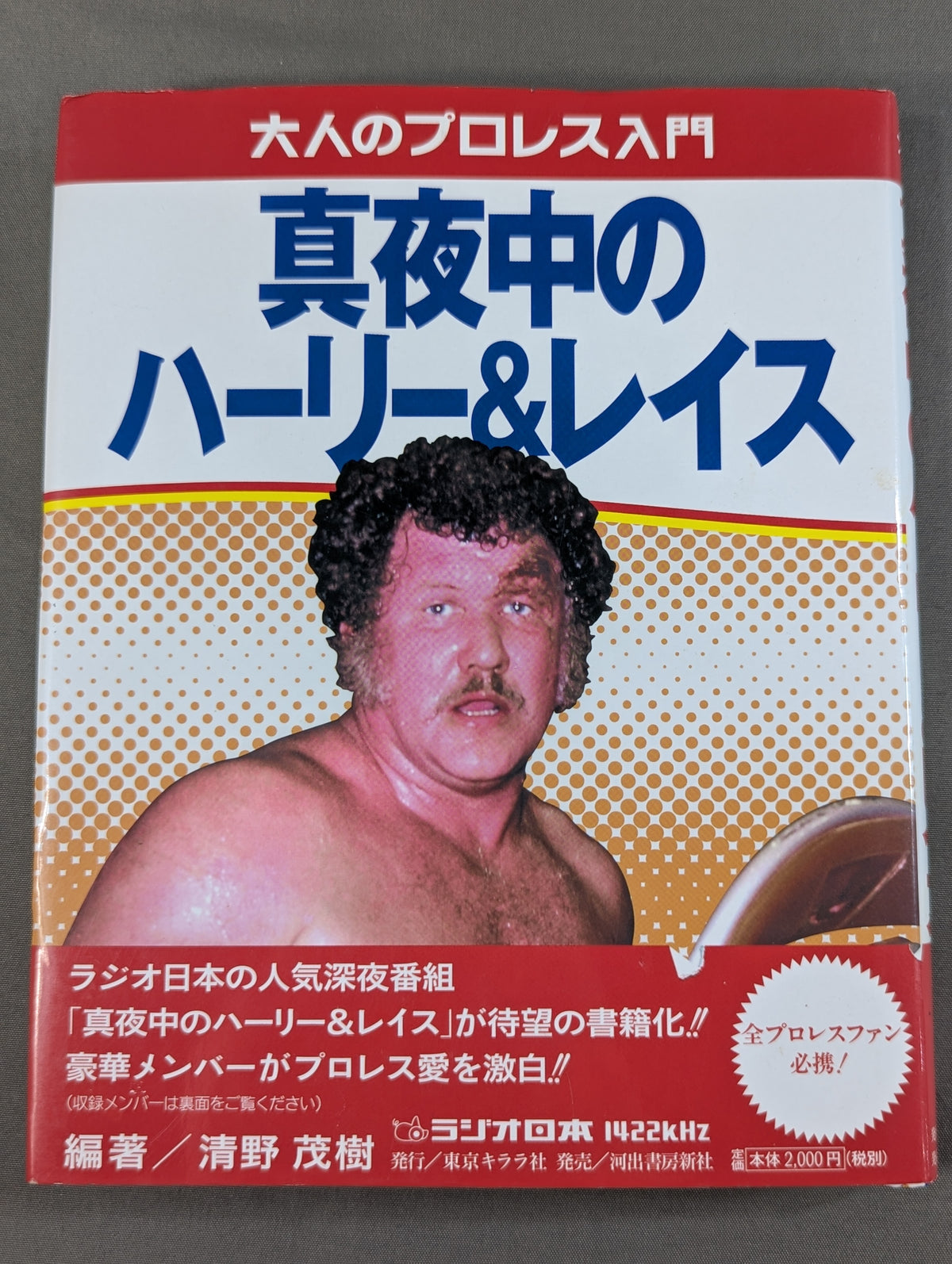 大人のプロレス入門  真夜中のハーリー&レイス