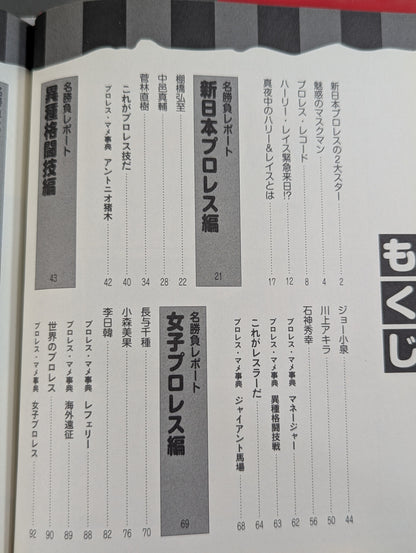 大人のプロレス入門  真夜中のハーリー&レイス