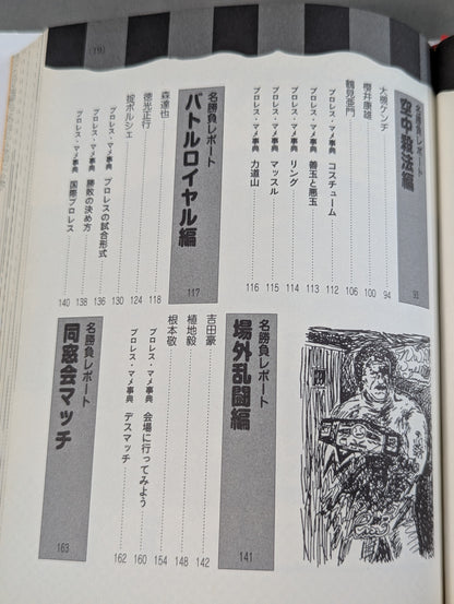 大人のプロレス入門  真夜中のハーリー&レイス
