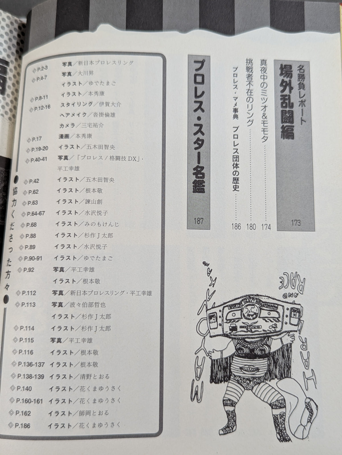 大人のプロレス入門  真夜中のハーリー&レイス