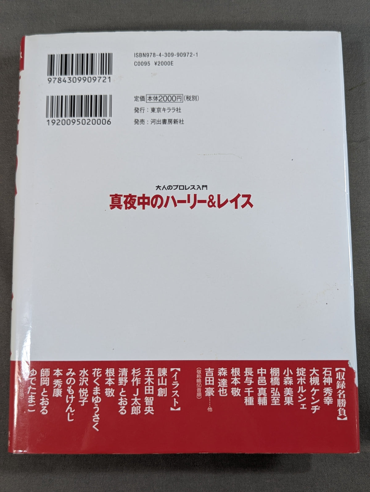 大人のプロレス入門  真夜中のハーリー&レイス