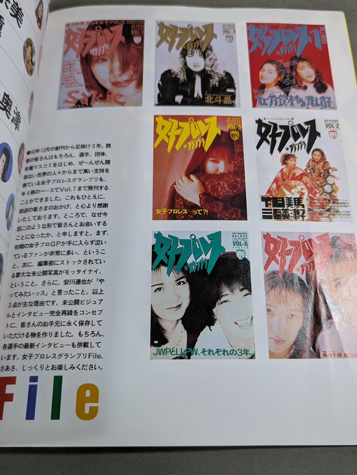 女子プロレスグランプリ File