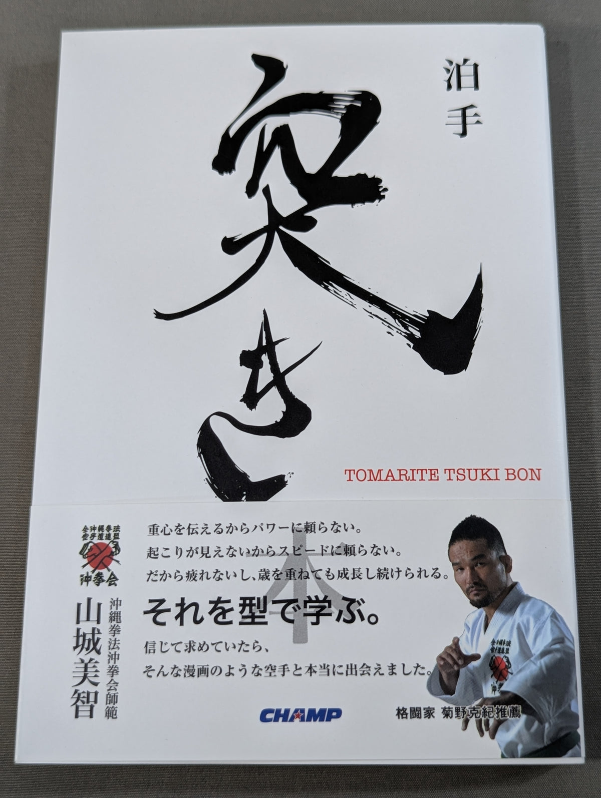 泊手突き本