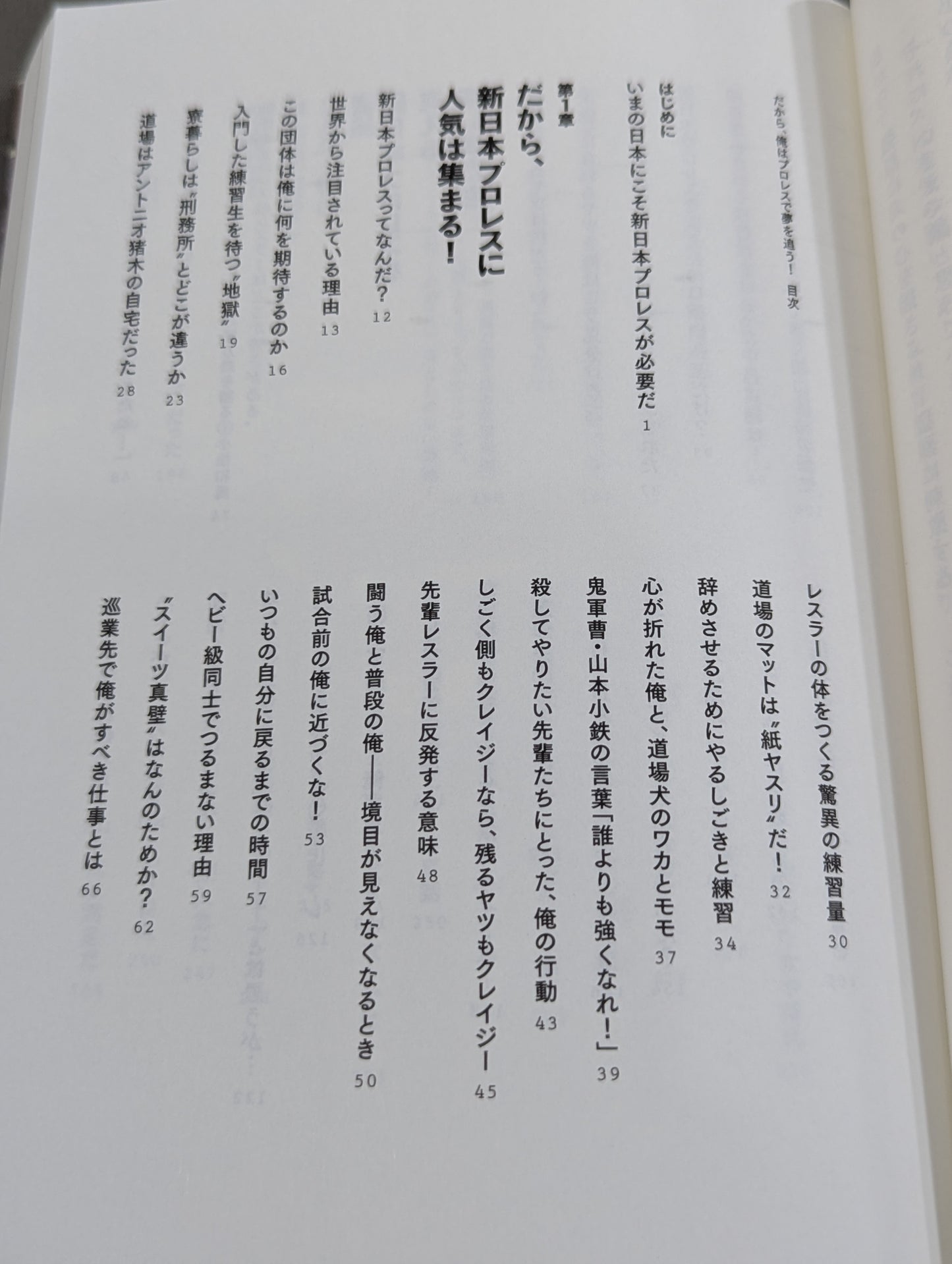 【真壁刀義 直筆サイン入り】だから、俺はプロレスで夢を追う!
