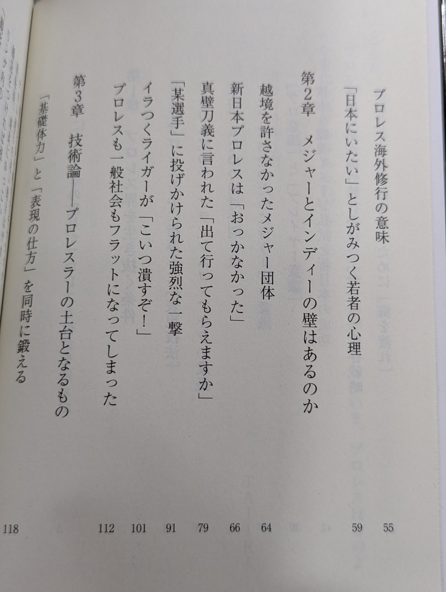 真・プロレスラーは観客に何を見せているのか 30年やってわかったこと